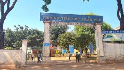 Hiệu trưởng kỷ luật buộc thôi việc kế toán trái quy định