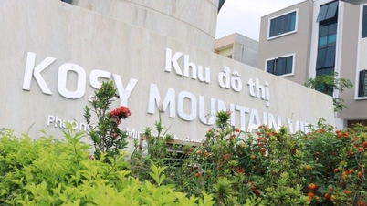 Kosy Group ត្រូវ​បាន​ផាក​ពិន័យ ហើយ​ត្រូវ​បង់​ពន្ធ​វិញ​ជាង ៦,៨​ពាន់​លាន​ដុង។