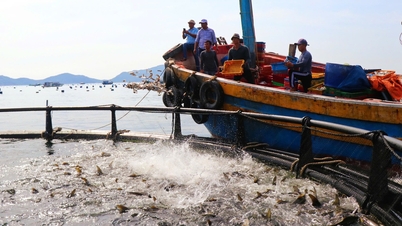 Khanh Hoa pilots offshore aquaculture 3-6 nautical miles