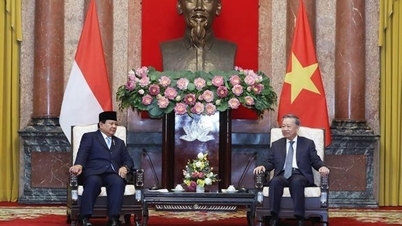 Ambassador Ta Van Thong: Realizing the potential of Vietnam - Indonesia cooperation