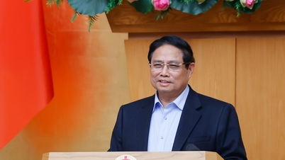 Đẩy mạnh hợp tác, ứng xử kịp thời, linh hoạt, hiệu quả trước những thay đổi chính sách của các nước