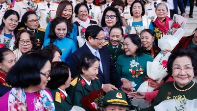 총리는 베트남 여성들의 특별히 중요한 기여와 헌신에 감사를 표했습니다.