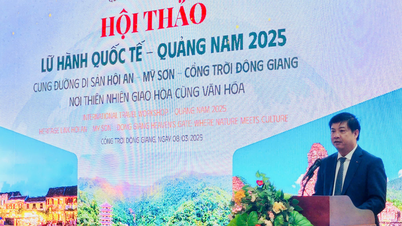 ខេត្ត Quang Nam អភិវឌ្ឍន៍ទេសចរណ៍តាមទិសដៅផ្លូវបេតិកភណ្ឌ