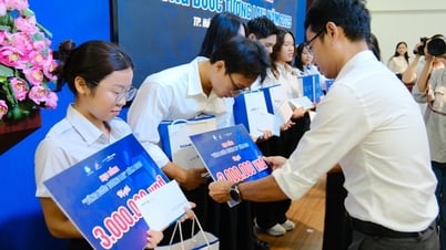 More scholarships to support students in difficult circumstances