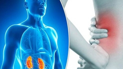 9 habits to nourish the kidneys, keep the kidneys healthy that not everyone knows