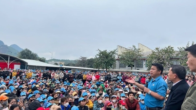Ensuring workers' rights in the face of collective work stoppages