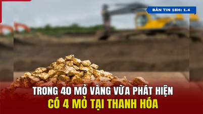 [ព័ត៌មានម៉ោង៦ល្ងាច] ក្នុងចំណោមអណ្តូងរ៉ែមាសដែលទើបរកឃើញថ្មីចំនួន ៤០ មាន ៤ ស្ថិតនៅខេត្ត Thanh Hoa