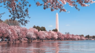 Flower seasons in America - A brilliant picture of nature throughout the four seasons