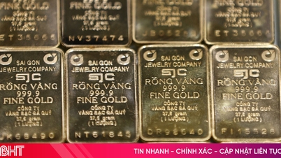 ជីក​រ៉ែ​មាស​ចំនួន​៤០​ដែល​រក​ឃើញ​មាន​ទុន​បម្រុង​ជិត​៣០​តោន