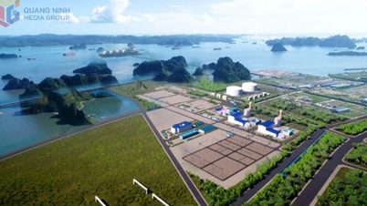 Accelerating Quang Ninh LNG Power Plant Project