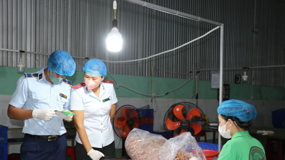 Lập 5 đoàn kiểm tra liên ngành kiểm tra an toàn thực phẩm tại 10 tỉnh