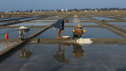 Unique intangible cultural heritage: Passing down Sa Huynh salt grains