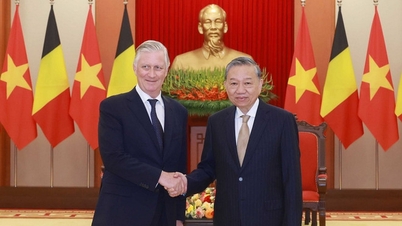 Tổng Bí thư Tô Lâm hội kiến Nhà vua Bỉ Philippe