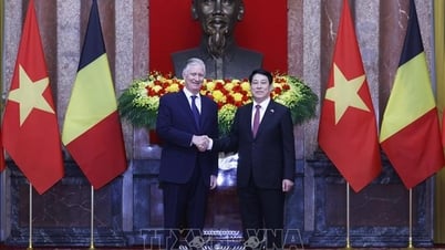 Chủ tịch nước Lương Cường và Nhà Vua Bỉ Philippe hội kiến