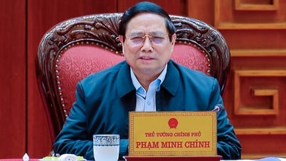 Es muss darüber nachgedacht werden, Bedingungen zu schaffen, unter denen Auslandsvietnamesen die vietnamesische Staatsangehörigkeit wiedererlangen können.