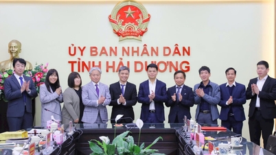 Chủ tịch UBND tỉnh Hải Dương Lê Ngọc Châu làm việc với Hội Chuyên gia Việt Nam – Nhật Bản