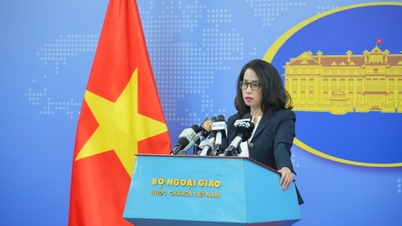 ក្រសួងការបរទេសវៀតណាមនិយាយអំពីការផ្អាកបណ្តោះអាសន្នរបស់អាមេរិកលើពន្ធគយទៅវិញទៅមក - កាសែតរូបភាព និងវិទ្យុ និងទូរទស្សន៍ Lang Son