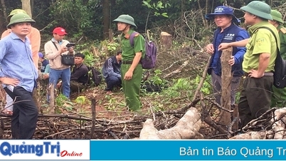 Strictly handle violations of deforestation and illegal encroachment of forest land.