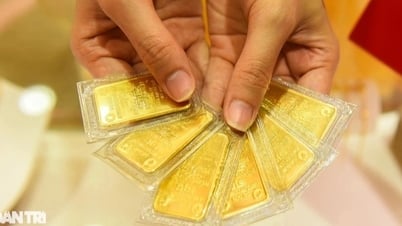 سعر شراء سبائك الذهب "يتبخر" بمقدار 2.5 مليون دونج، بعيدًا عن ذروته القياسية