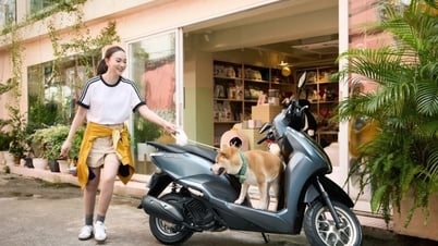 តម្លៃចុងក្រោយរបស់ Honda Lead 2025 ក្នុងខែមិថុនា ឆ្នាំ 2025