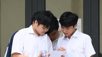 Hanoi announced the competition rate for 10th grade admission to public high schools. Which school is easiest to pass?