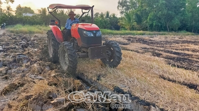ការ​រៀបចំ​ការ​សាប​ព្រោះ​ដំណាំ​ស្រូវ​រដូវ​ក្ដៅ​-​រដូវស្លឹកឈើជ្រុះ