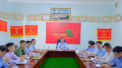 Chuẩn bị chu đáo cho Giải bóng đá U11 và Giải Đắk Nông Marathon 2025