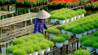 ទេសចរណ៍​ទាក់ទង​នឹង​តំបន់​ជនបទ​ថ្មី ការ​លើក​កម្ពស់​ចំណូល​ប្រជាជន