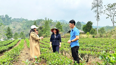 Giám sát việc triển khai thực hiện Chương trình MTQG tại Chu Hương