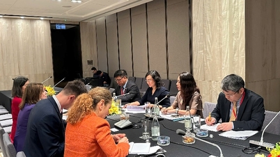 Le Vietnam et l'Espagne renforcent leur coopération commerciale et industrielle