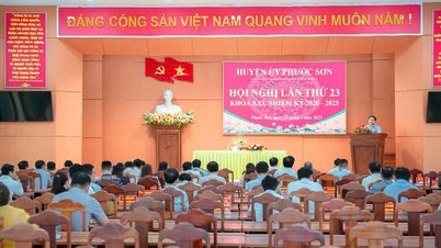Phuoc Son សម្រេចបានលទ្ធផលលេចធ្លោជាច្រើនក្នុងត្រីមាសទី១ ឆ្នាំ២០២៥
