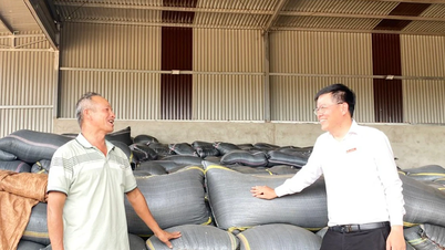 Agribank Đông Gia Lai ưu tiên nguồn vốn lãi suất thấp cho sản xuất kinh doanh