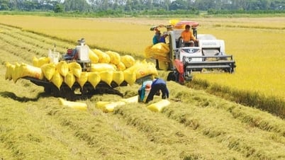 Huy động đầu tư cho các hệ thống lương thực bền vững