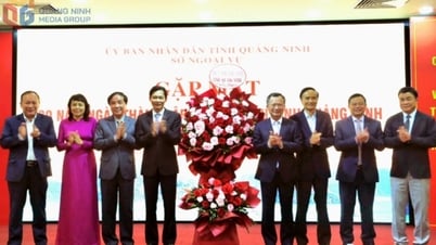 Meeting to celebrate the 20th anniversary of the establishment of the Quang Ninh Department of Foreign Affairs