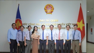 ថ្នាក់ដឹកនាំខេត្ត Quang Nam អបអរសាទរ Bunpimay ចំពោះបុគ្គលិកនៃស្ថានទូតវៀតណាមប្រចាំនៅទីក្រុងវៀងចន្ទន៍ (ឡាវ)