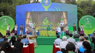 ឧទ្ទេសនាម និងផ្សព្វផ្សាយវប្បធម៌ពិសេស រួមផ្សំនឹងការសម្តែងត្រីធូណាសមុទ្រ Phu Yen ដល់ភ្ញៀវទេសចរ