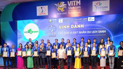 ویتنام ٹورازم ایسوسی ایشن کے 2025 ایوارڈز کا آغاز