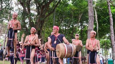 Chuyển hoạt động lễ hội hoa dã quỳ – núi lửa Chư Đang Ya sang Ngày hội Di sản văn hóa