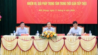 Bac Giang et Bac Ninh complètent le cadre du projet de réaménagement des deux provinces.