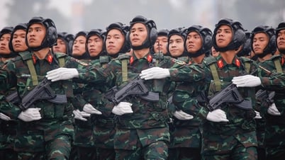 Ministry of National Defense guides early retirement regime for officers and professional soldiers