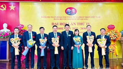 مؤتمر حزب بنك BIDV Tuyen Quang، الفترة 2025-2030