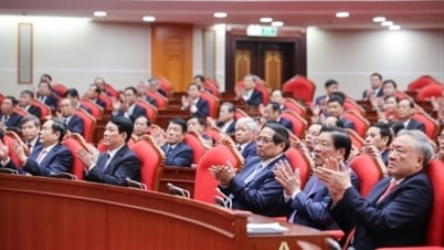 중앙위원회는 5개의 사회정치조직과 30개의 대중협회를 조직하기로 합의했습니다.