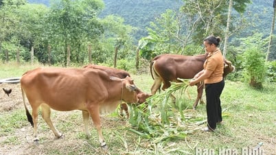 Tháo gỡ khó khăn thực hiện Chương trình mục tiêu quốc gia phát triển kinh tế - xã hội vùng đồng bào dân tộc thiểu số và miền núi