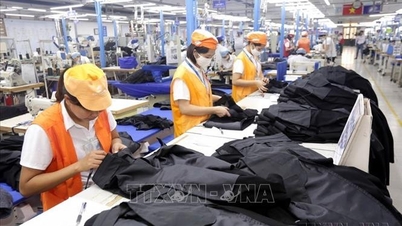 Doanh nghiệp khẩn trương thiết lập cơ chế thích ứng