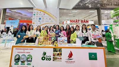 ท่องเที่ยวจังหวัดกว๋างบิ่ญที่น่าประทับใจในงาน VITM Hanoi International Tourism Fair 2025
