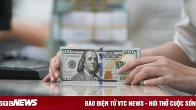 តម្លៃ USD ត្រឡប់ទៅកំណត់ត្រា 26,000 VND/USD