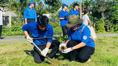 Acelerar la implementación del Proyecto de Plantación de Árboles en la provincia de Ben Tre