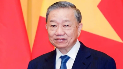 Chung tay mở ra kỷ nguyên phát triển mới của quan hệ hữu nghị Việt Nam-Trung Quốc