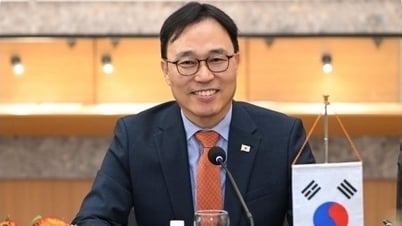 韓国大使：P4Gサミットは、気候変動分野におけるベトナムの主導的役割を強調する機会です