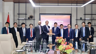Comrade Ta Anh Tuan, Deputy Secretary of the Provincial Party Committee, Chairman of the Provincial People's Committee promotes investment in the UAE